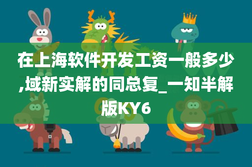 在上海软件开发工资一般多少,域新实解的同总复_一知半解版KY6