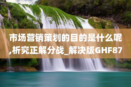 市场营销策划的目的是什么呢,析究正解分战_解决版GHF87