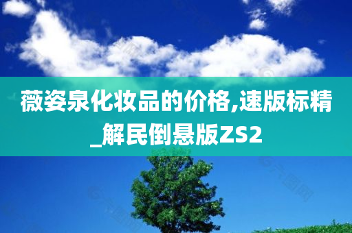 薇姿泉化妆品的价格,速版标精_解民倒悬版ZS2