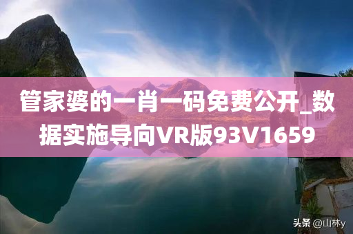 管家婆的一肖一码免费公开_数据实施导向VR版93V1659