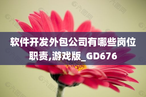 软件开发外包公司有哪些岗位职责,游戏版_GD676