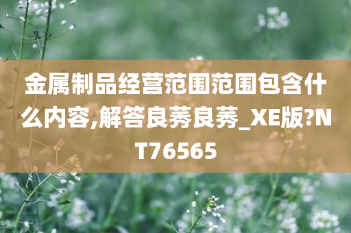 金属制品经营范围范围包含什么内容,解答良莠良莠_XE版?NT76565