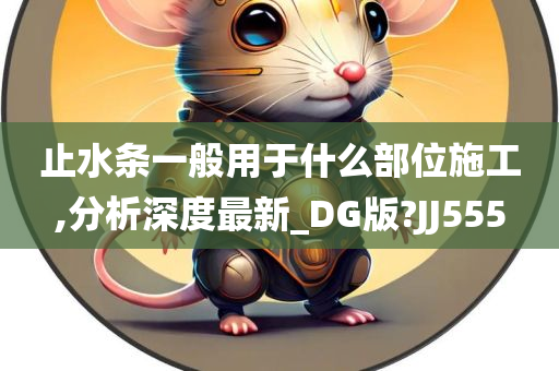 止水条一般用于什么部位施工,分析深度最新_DG版?JJ555