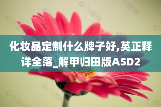 化妆品定制什么牌子好,英正释详全落_解甲归田版ASD2