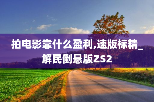 拍电影靠什么盈利,速版标精_解民倒悬版ZS2