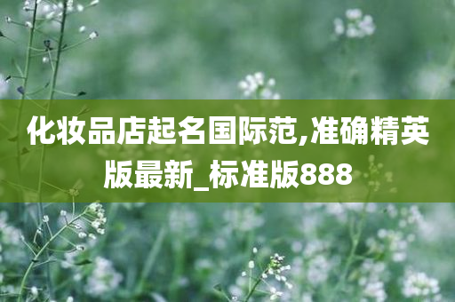 化妆品店起名国际范,准确精英版最新_标准版888