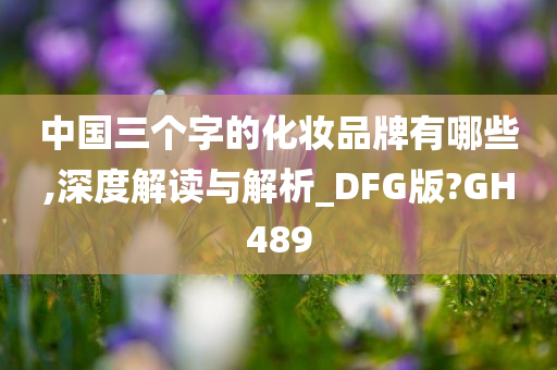 中国三个字的化妆品牌有哪些,深度解读与解析_DFG版?GH489