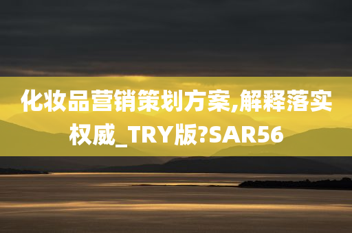 化妆品营销策划方案,解释落实权威_TRY版?SAR56