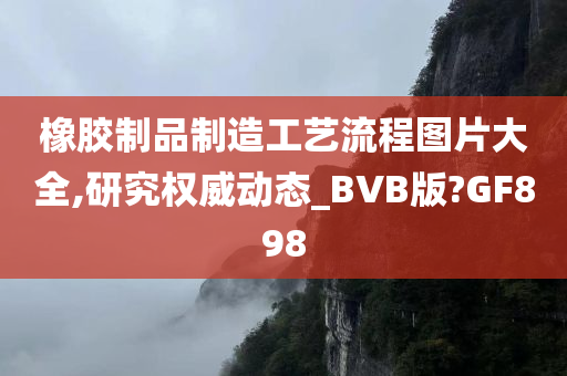 橡胶制品制造工艺流程图片大全,研究权威动态_BVB版?GF898