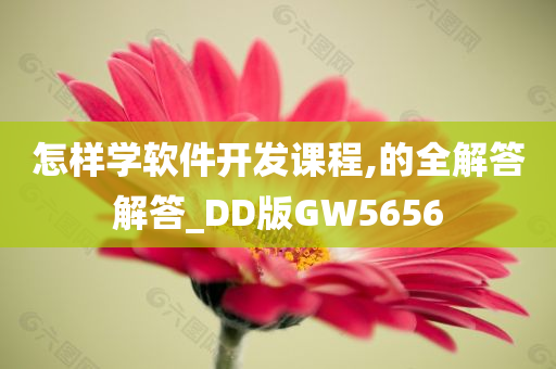 怎样学软件开发课程,的全解答解答_DD版GW5656