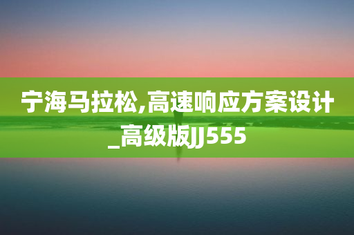 宁海马拉松,高速响应方案设计_高级版JJ555