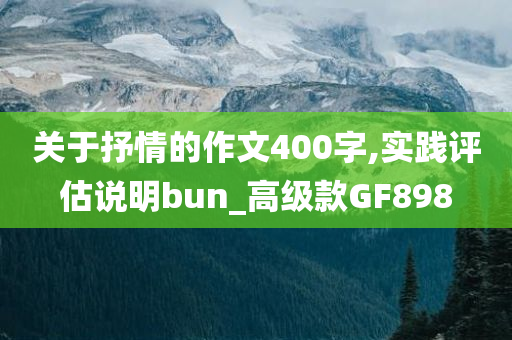 关于抒情的作文400字,实践评估说明bun_高级款GF898