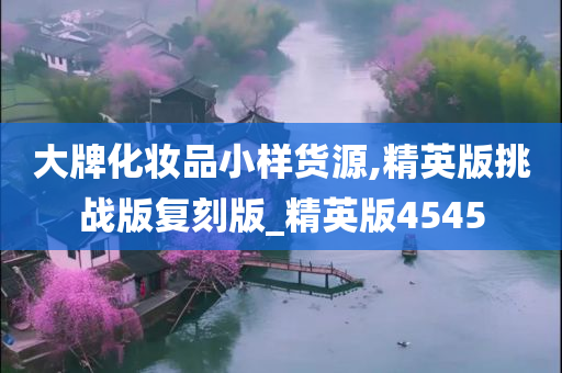 大牌化妆品小样货源,精英版挑战版复刻版_精英版4545