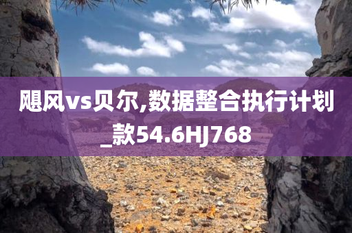 飓风vs贝尔,数据整合执行计划_款54.6HJ768