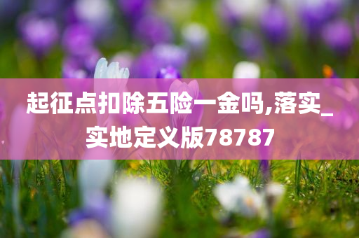 起征点扣除五险一金吗,落实_实地定义版78787