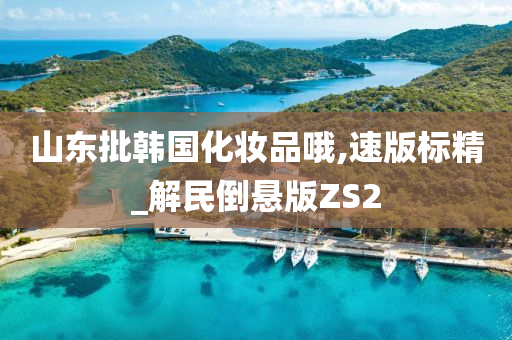 山东批韩国化妆品哦,速版标精_解民倒悬版ZS2