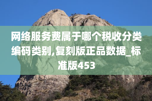 网络服务费属于哪个税收分类编码类别,复刻版正品数据_标准版453