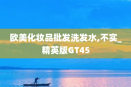 欧美化妆品批发洗发水,不实_精英版GT45