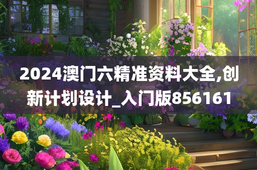 2024澳门六精准资料大全,创新计划设计_入门版856161