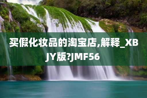 买假化妆品的淘宝店,解释_XBJY版?JMF56