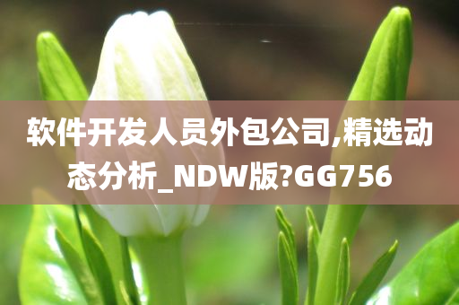 软件开发人员外包公司,精选动态分析_NDW版?GG756