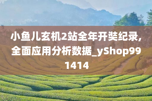 小鱼儿玄机2站全年开奘纪录,全面应用分析数据_yShop991414