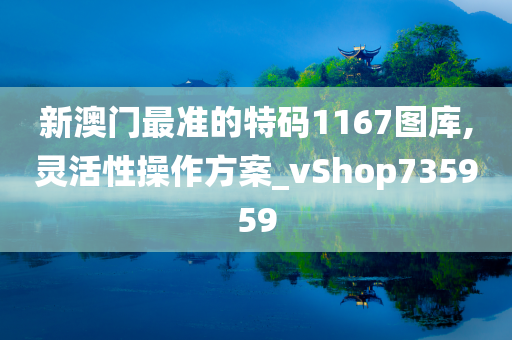 新澳门最准的特码1167图库,灵活性操作方案_vShop735959