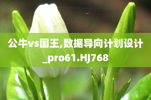 公牛vs国王,数据导向计划设计_pro61.HJ768