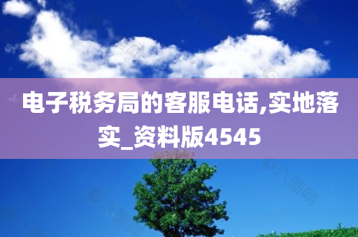 电子税务局的客服电话,实地落实_资料版4545