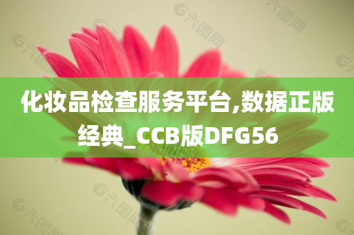 化妆品检查服务平台,数据正版经典_CCB版DFG56