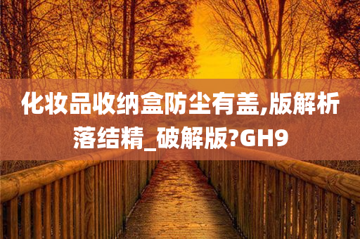 化妆品收纳盒防尘有盖,版解析落结精_破解版?GH9