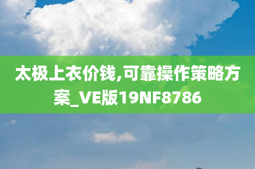 太极上衣价钱,可靠操作策略方案_VE版19NF8786