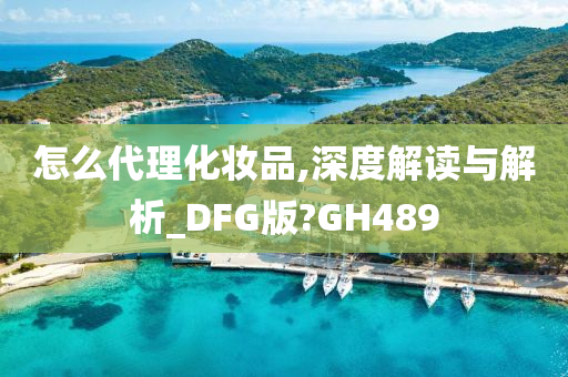 怎么代理化妆品,深度解读与解析_DFG版?GH489