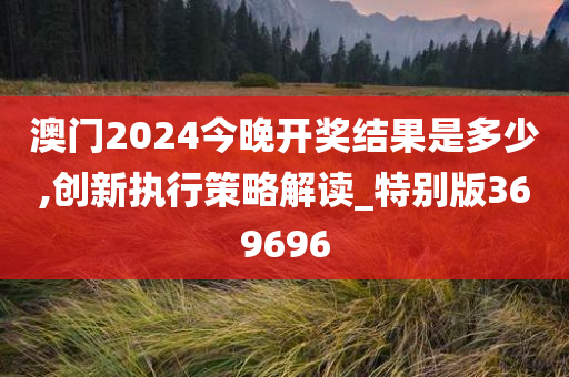 澳门2024今晚开奖结果是多少,创新执行策略解读_特别版369696