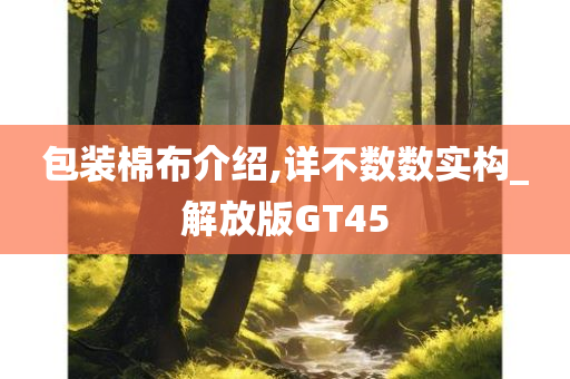 包装棉布介绍,详不数数实构_解放版GT45