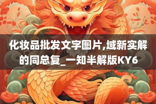 化妆品批发文字图片,域新实解的同总复_一知半解版KY6