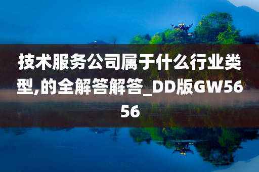 技术服务公司属于什么行业类型,的全解答解答_DD版GW5656