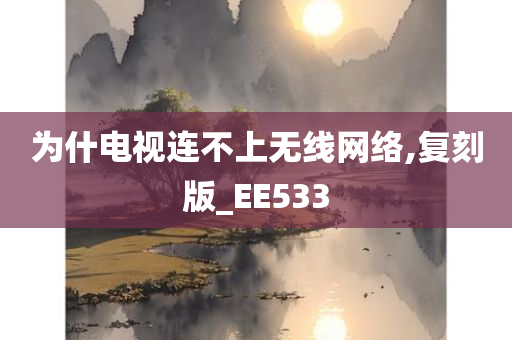 为什电视连不上无线网络,复刻版_EE533