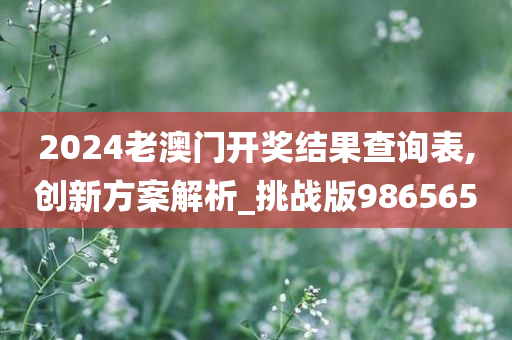 2024老澳门开奖结果查询表,创新方案解析_挑战版986565