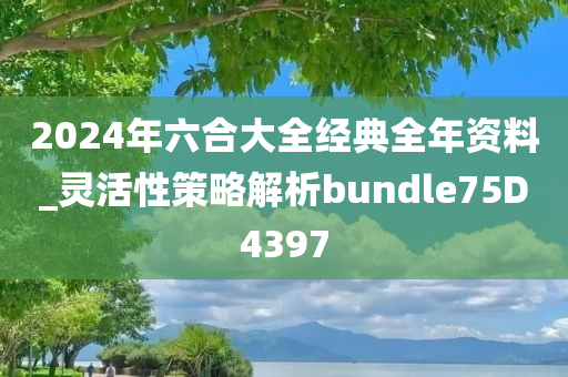 2024年六合大全经典全年资料_灵活性策略解析bundle75D4397