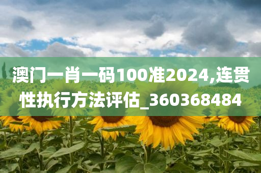 澳门一肖一码100准2024,连贯性执行方法评估_360368484