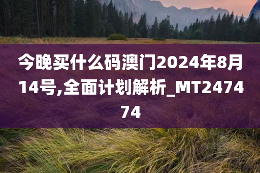 今晚买什么码澳门2024年8月14号,全面计划解析_MT247474