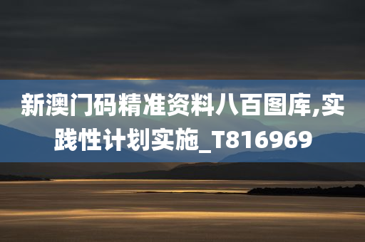 新澳门码精准资料八百图库,实践性计划实施_T816969