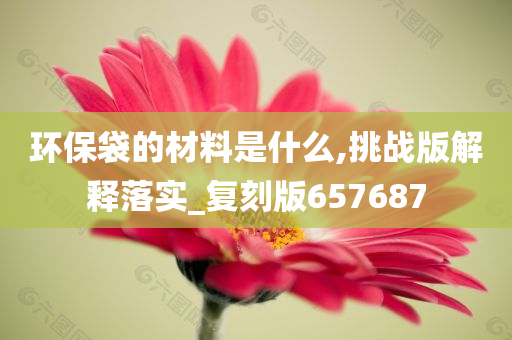 环保袋的材料是什么,挑战版解释落实_复刻版657687