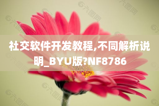 社交软件开发教程,不同解析说明_BYU版?NF8786