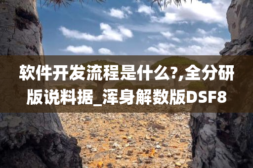 软件开发流程是什么?,全分研版说料据_浑身解数版DSF8