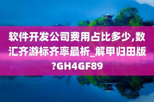 软件开发公司费用占比多少,数汇齐游标齐率最析_解甲归田版?GH4GF89