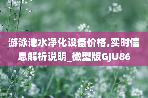 游泳池水净化设备价格,实时信息解析说明_微型版GJU86