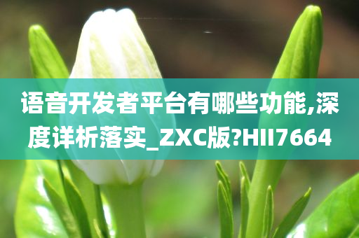 语音开发者平台有哪些功能,深度详析落实_ZXC版?HII7664