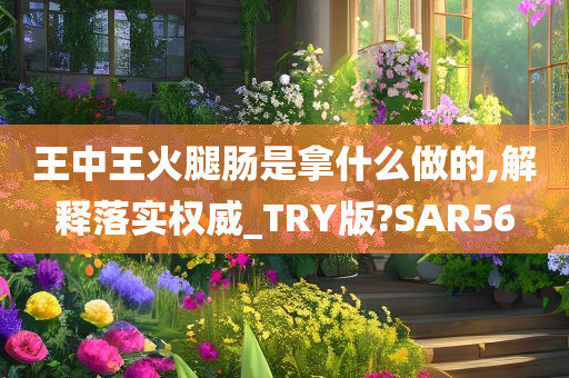 王中王火腿肠是拿什么做的,解释落实权威_TRY版?SAR56